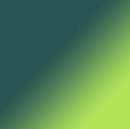 Emerald Iguana