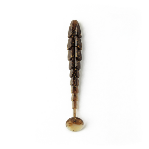 Copperback Scorpio