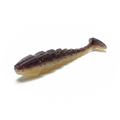 Copperback Scorpio