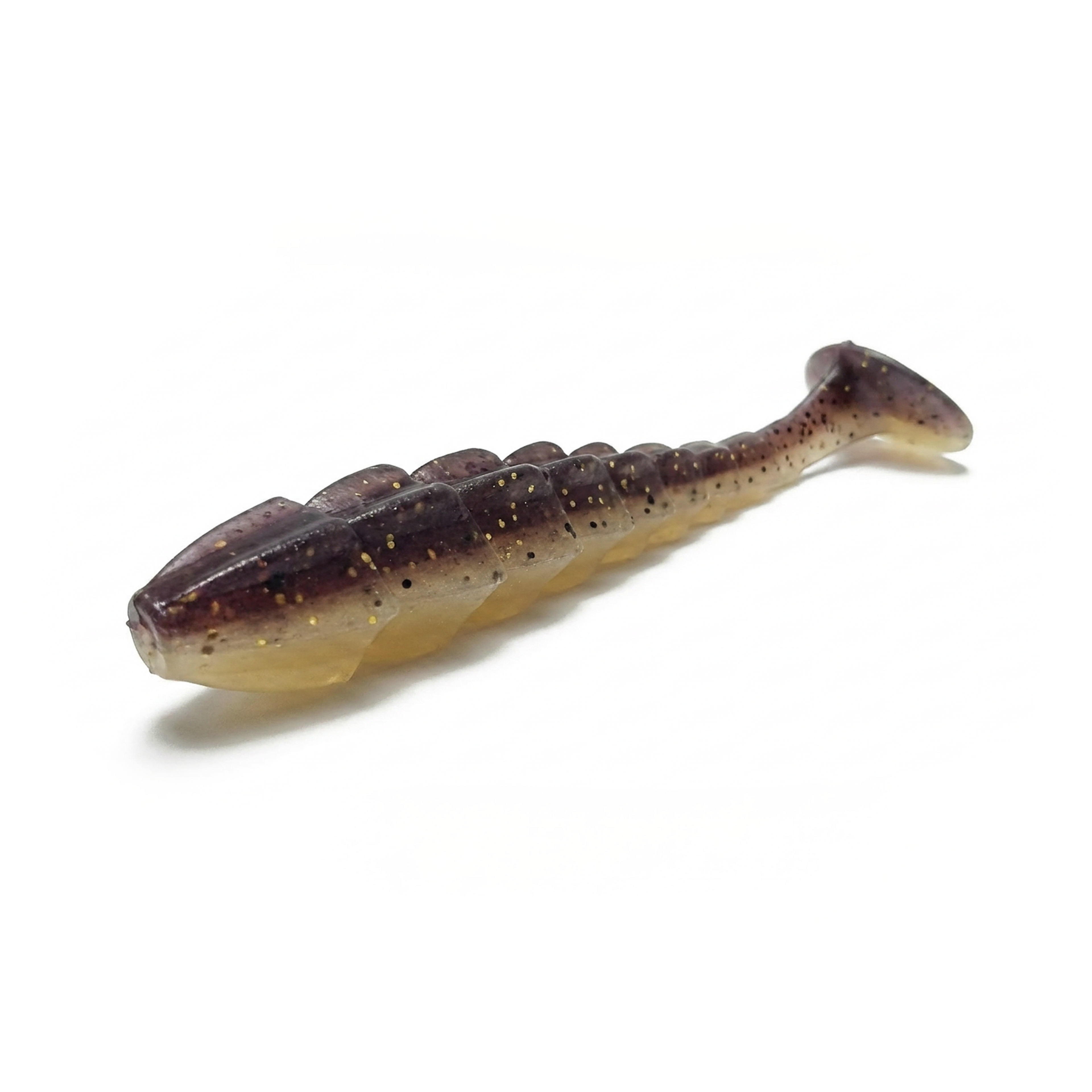 Copperback Scorpio