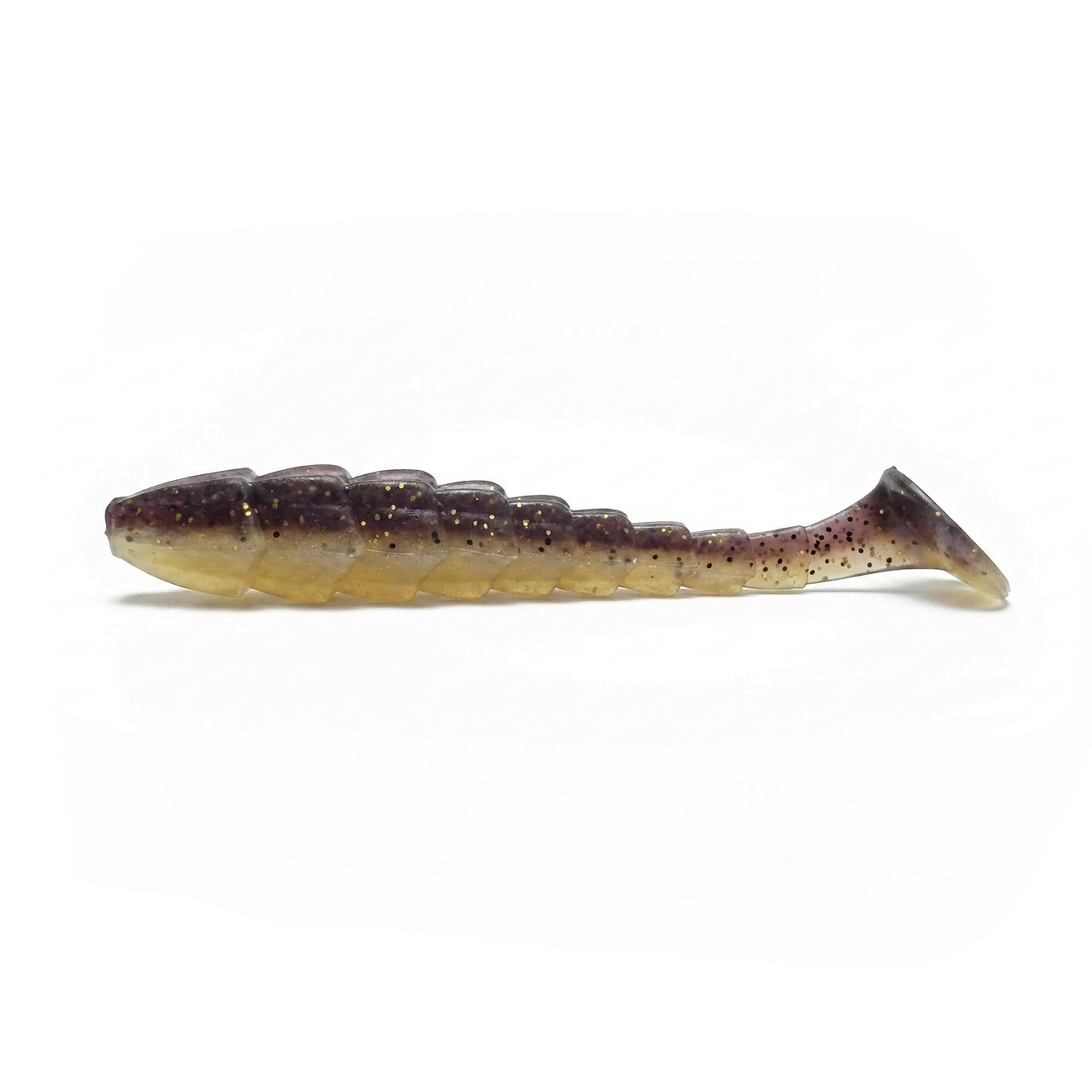 Copperback Scorpio